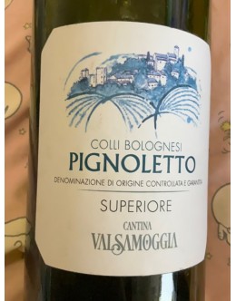 Pignoletto Colli Bolognese Docg - Valsamoggia