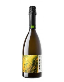 Prosecco Spumante Brut Doc -Terre dei Buth 